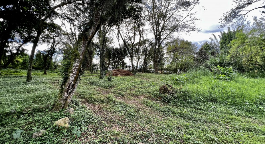 Terreno Campestre en Venta en Camino Antiguo a Coatepec Zona Briones.