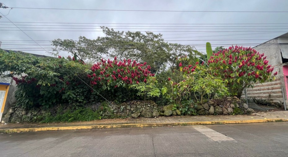 Terreno en venta en San Marcos, Veracruz.