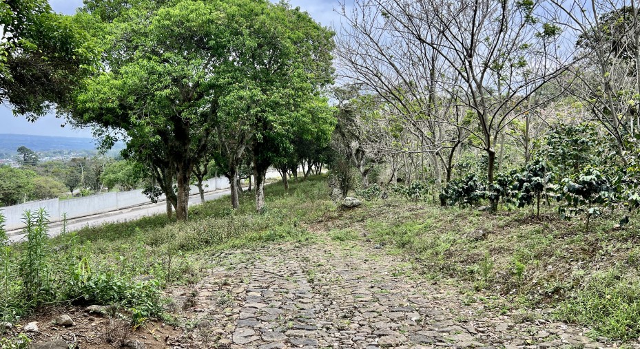 Terreno en venta en Xico Veracruz, ubicado a 2 kilómetros del centro de Xico con orilla a carretera.
