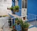 Propiedad en venta en zona Los Lagos Col. Centro Xalapa Veracruz con departamentos para rentar.