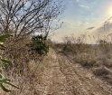 20 hectáreas en venta en Zona El Palmar Veracruz con agua para riego.