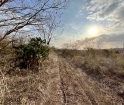 20 hectáreas en venta en Zona El Palmar Veracruz con agua para riego.