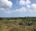 Terreno en venta en La Antigua Veracruz zona playa Chalchihuecan