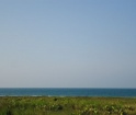 Terreno Rumbo al Alvarado frente al mar